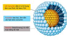 Phức hệ nano FGC: Từ bài thuốc cổ truyền đến chất dẫn điều trị ung thư