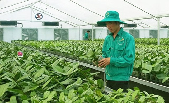 Sản xuất nông nghiệp công nghệ cao theo hướng phát triển bền vững #27 Sản xuất nông nghiệp công nghệ cao theo hướng phát triển bền vững