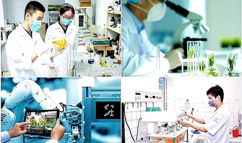 https://www.most.gov.vn/Images/editor/images/4444.jpeg